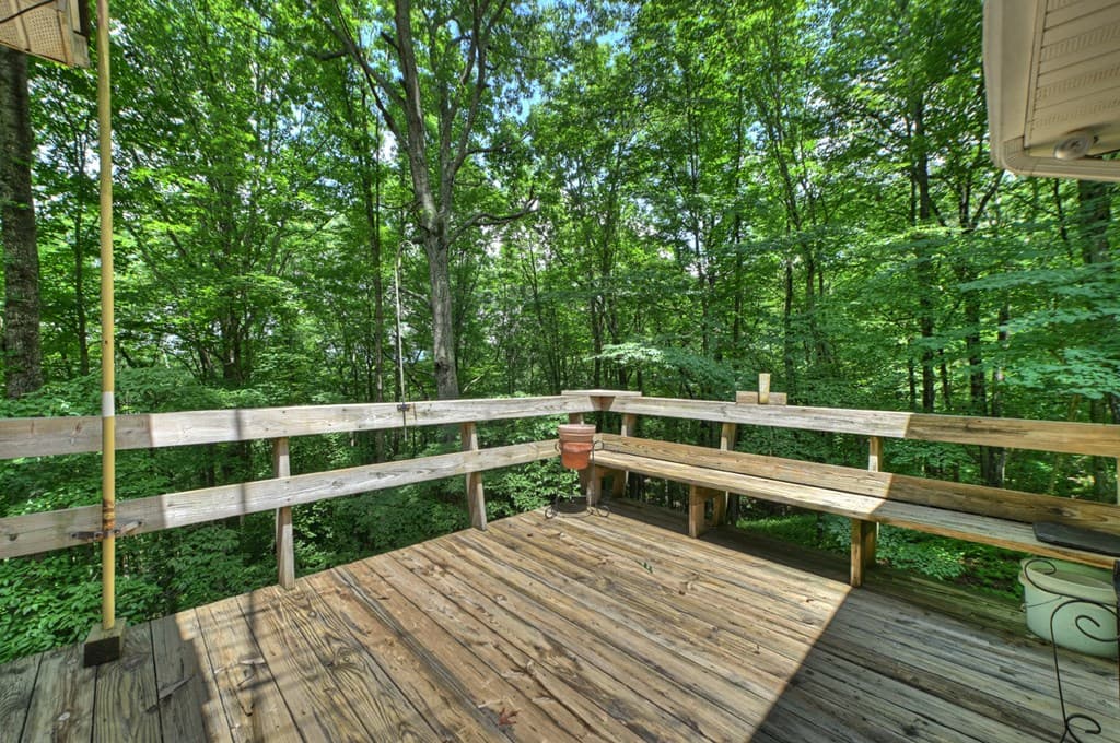 221 Shade Tree Lane, Mineral Bluff GA 30559 - Photo