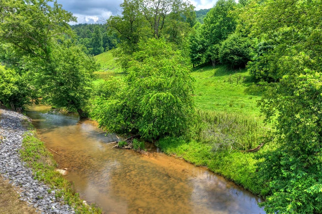 221 Shade Tree Lane, Mineral Bluff GA 30559 - Photo