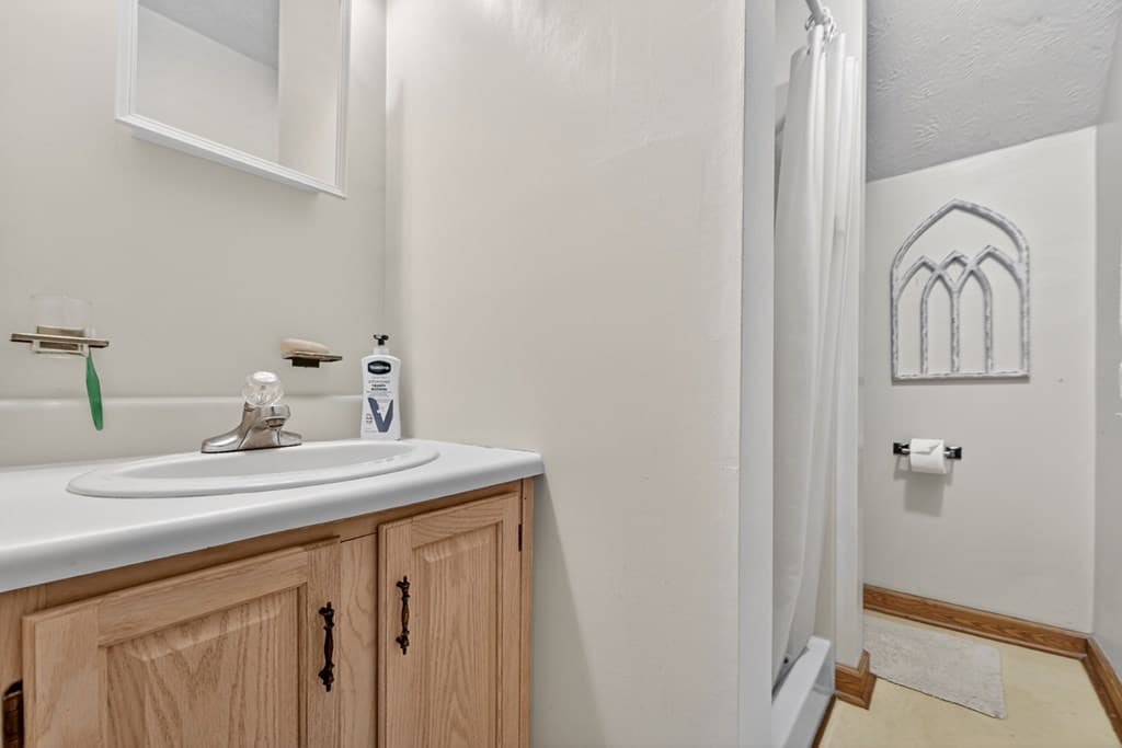 221 Shade Tree Lane, Mineral Bluff GA 30559 - Photo