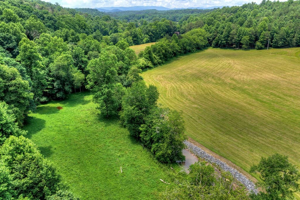 221 Shade Tree Lane, Mineral Bluff GA 30559 - Photo