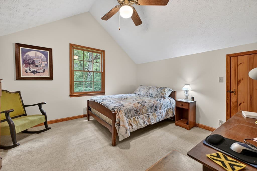 221 Shade Tree Lane, Mineral Bluff GA 30559 - Photo