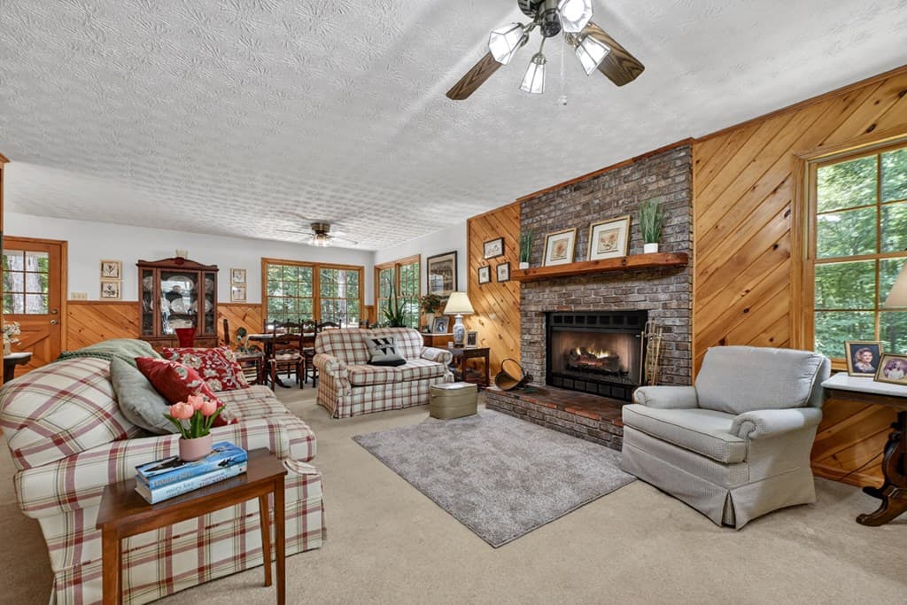221 Shade Tree Lane, Mineral Bluff GA 30559 - Photo