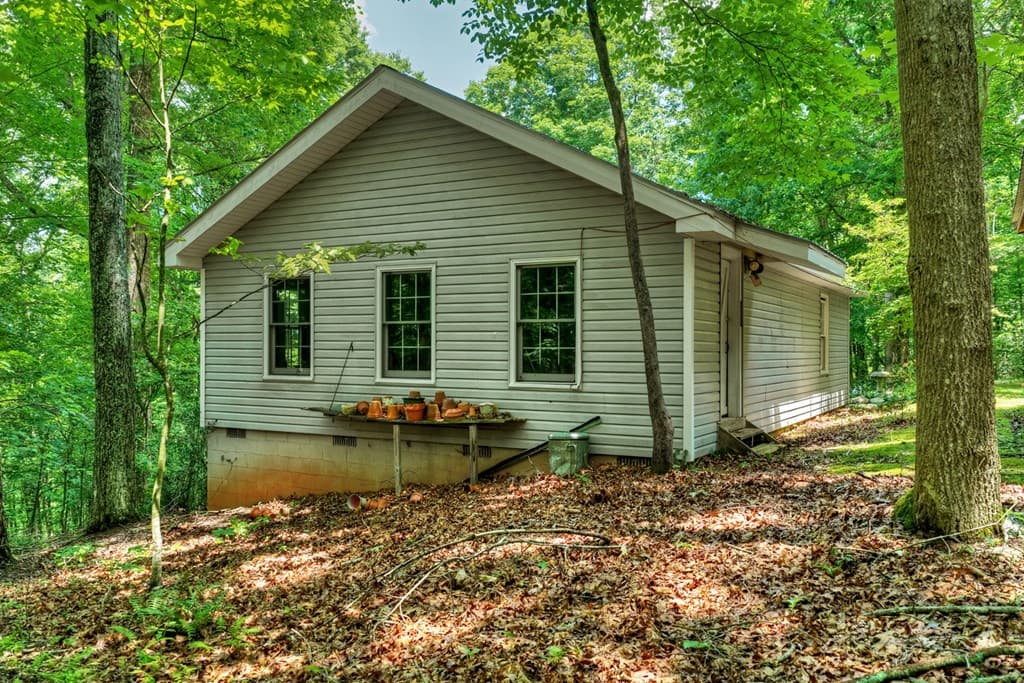 221 Shade Tree Lane, Mineral Bluff GA 30559 - Photo