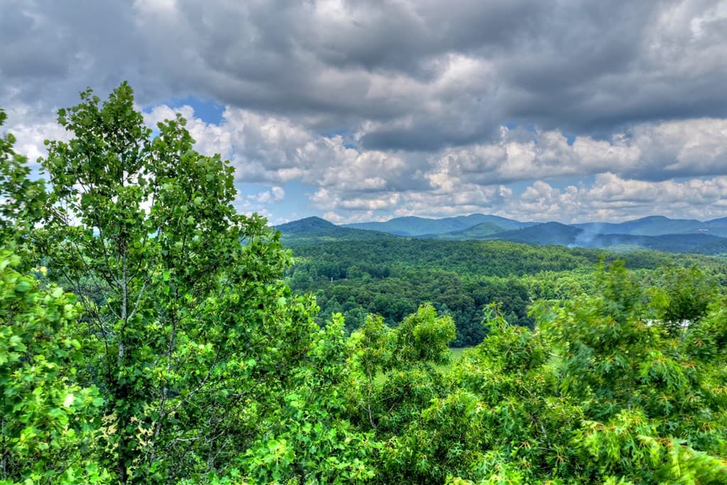 221 Shade Tree Lane, Mineral Bluff GA 30559 - Photo