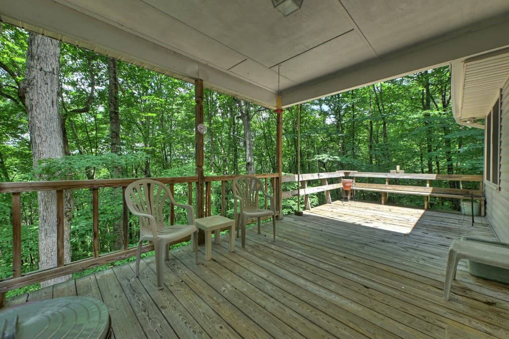 221 Shade Tree Lane, Mineral Bluff GA 30559 - Photo