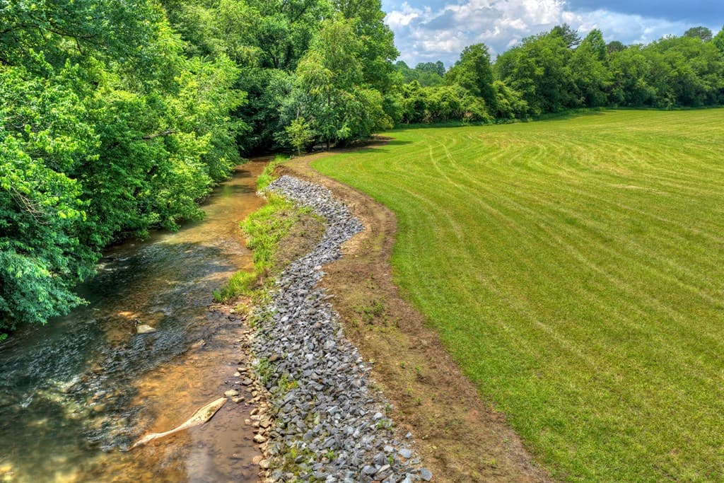 221 Shade Tree Lane, Mineral Bluff GA 30559 - Photo