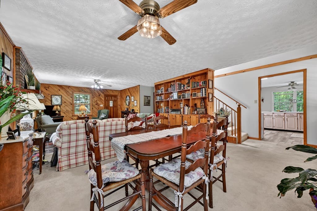 221 Shade Tree Lane, Mineral Bluff GA 30559 - Photo