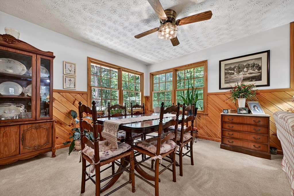 221 Shade Tree Lane, Mineral Bluff GA 30559 - Photo