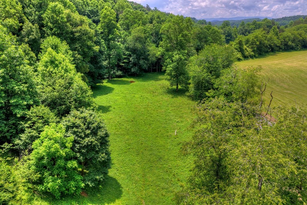 221 Shade Tree Lane, Mineral Bluff GA 30559 - Photo