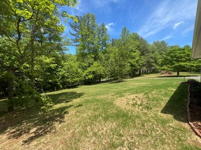 1616 Abe Cove Road, Hiawassee GA 30546 - Photo