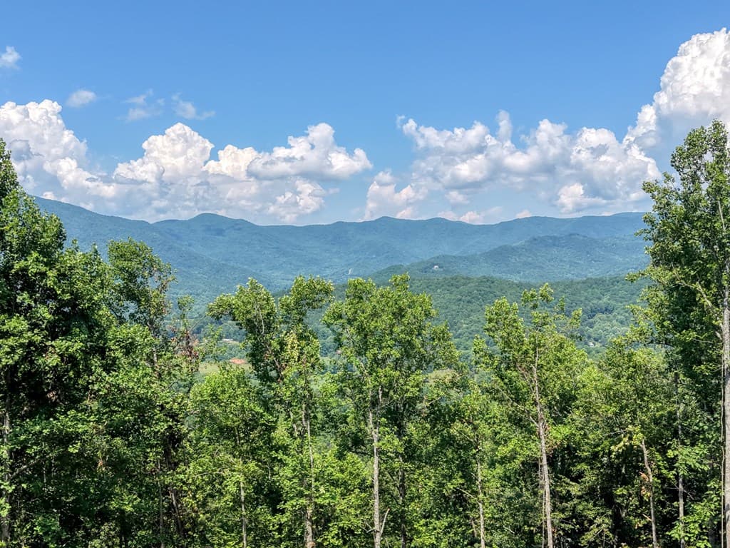 LOT 125 Shiloh Drive, Hayesville NC 28904 - Photo