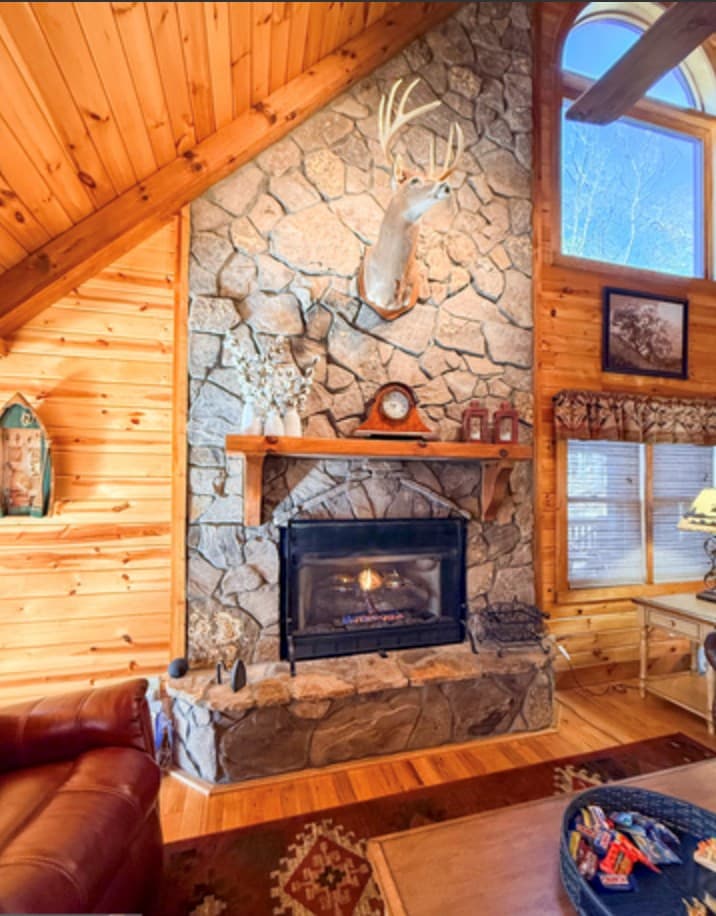 202 Shepherds Ridge Road, Morganton GA 30560 - Photo