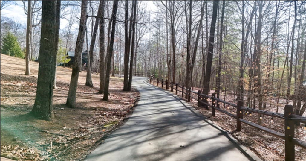 202 Shepherds Ridge Road, Morganton GA 30560 - Photo
