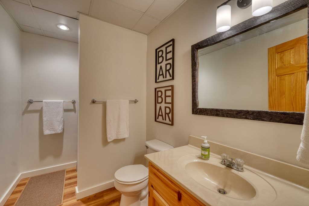 237 Flat Rock Ridge Road, Blairsville GA 30512 - Photo