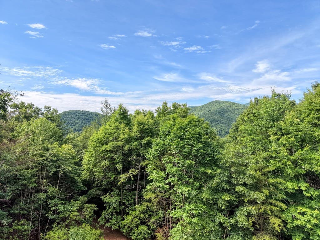 237 Flat Rock Ridge Road, Blairsville GA 30512 - Photo