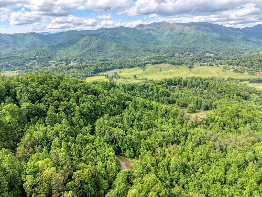 LOT 123 Shiloh Drive, Hayesville NC 28904 - Photo