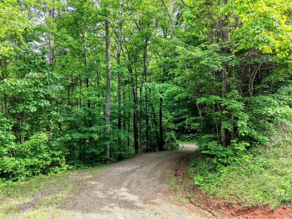 LOT 123 Shiloh Drive, Hayesville NC 28904 - Photo