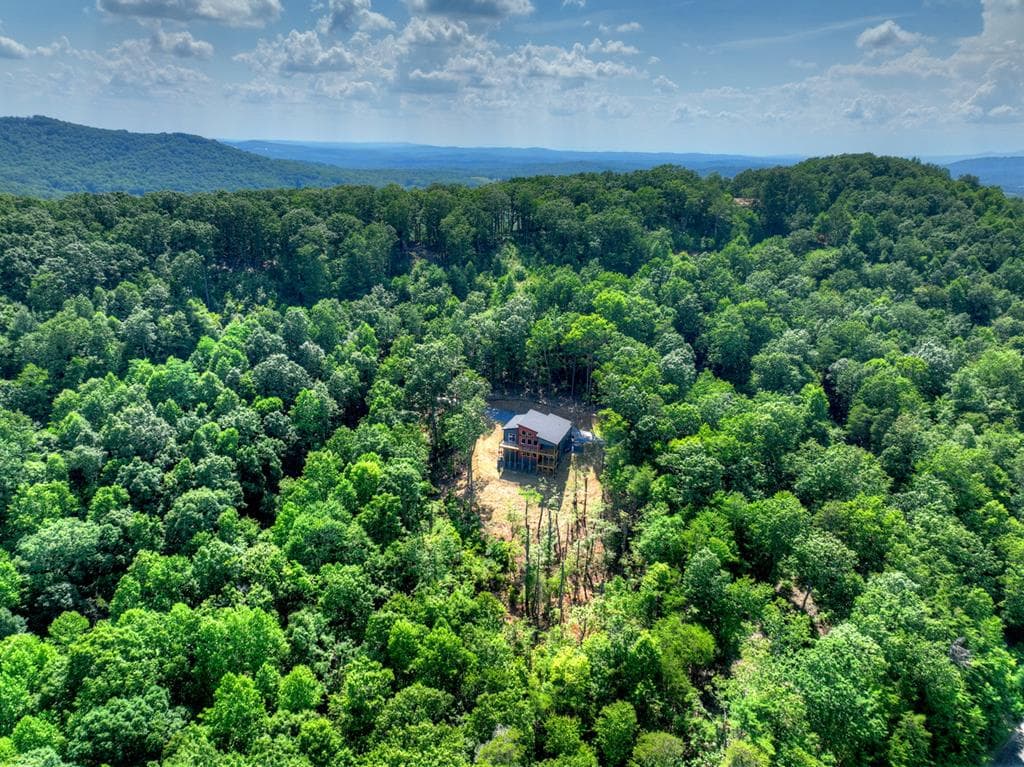 156 Sky High Drive, Ellijay GA 30536 - Photo