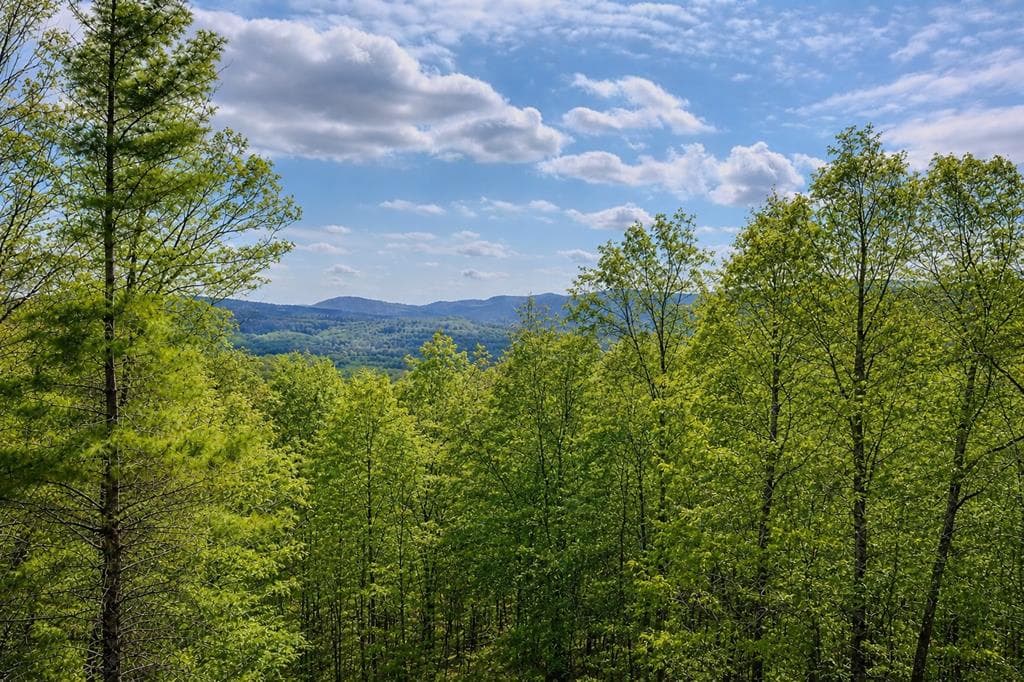 156 Sky High Drive, Ellijay GA 30536 - Photo