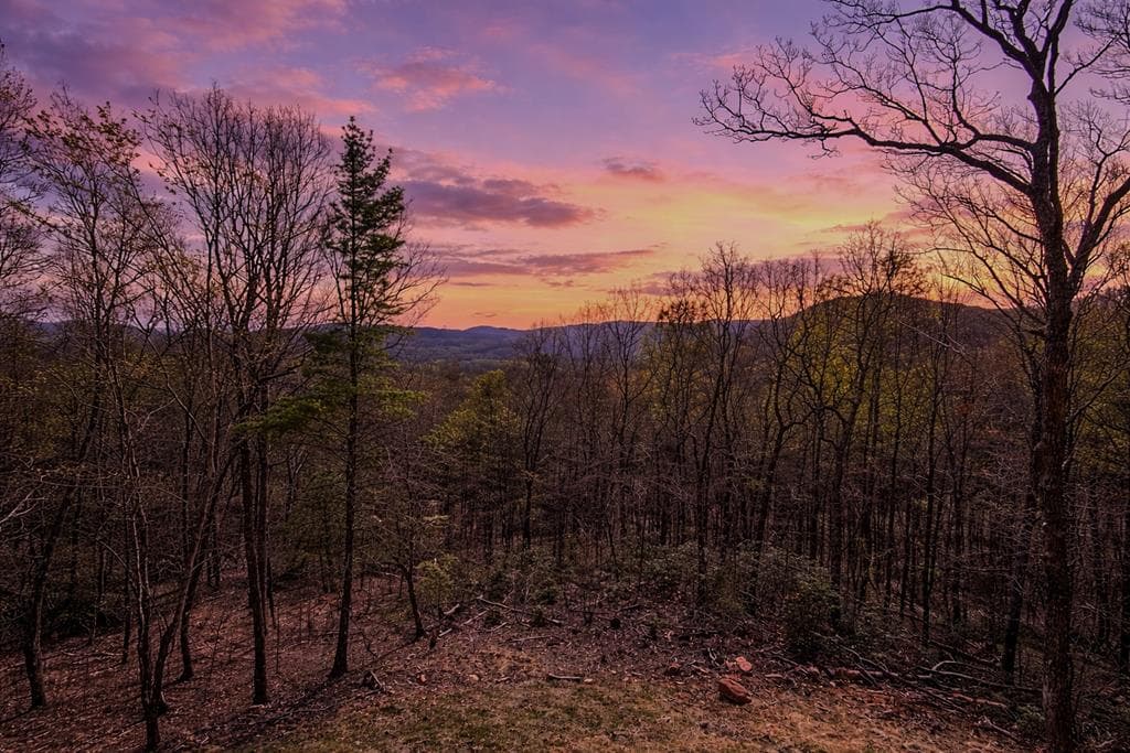 156 Sky High Drive, Ellijay GA 30536 - Photo
