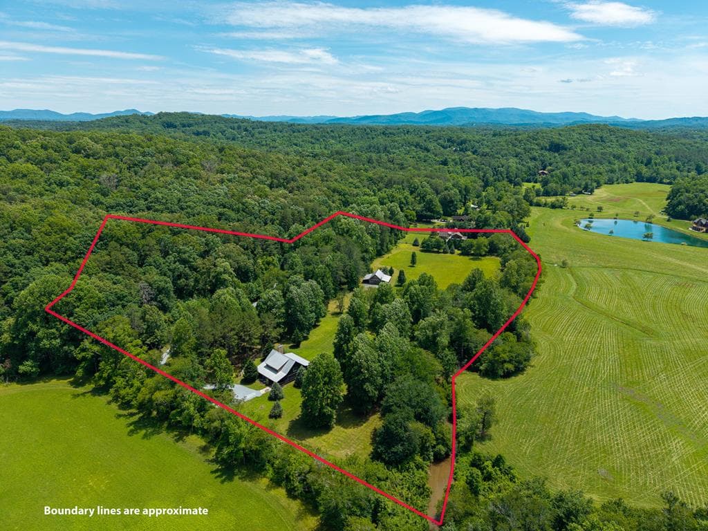 965 Bell Road, Mineral Bluff GA 30559 - Photo