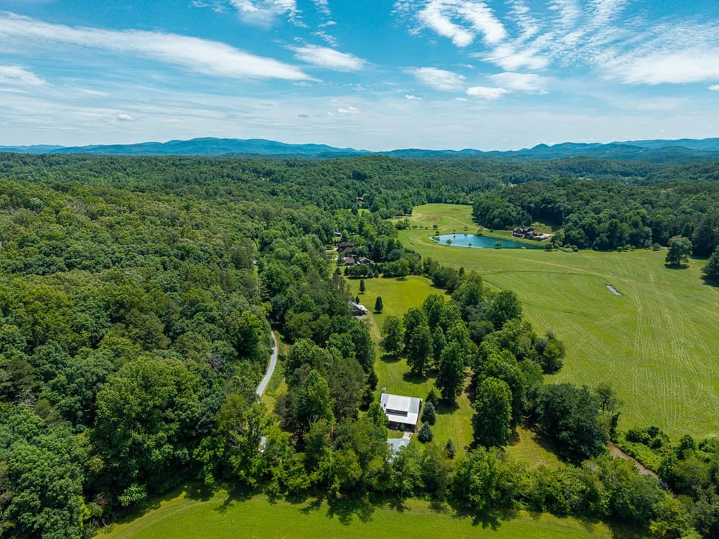 965 Bell Road, Mineral Bluff GA 30559 - Photo