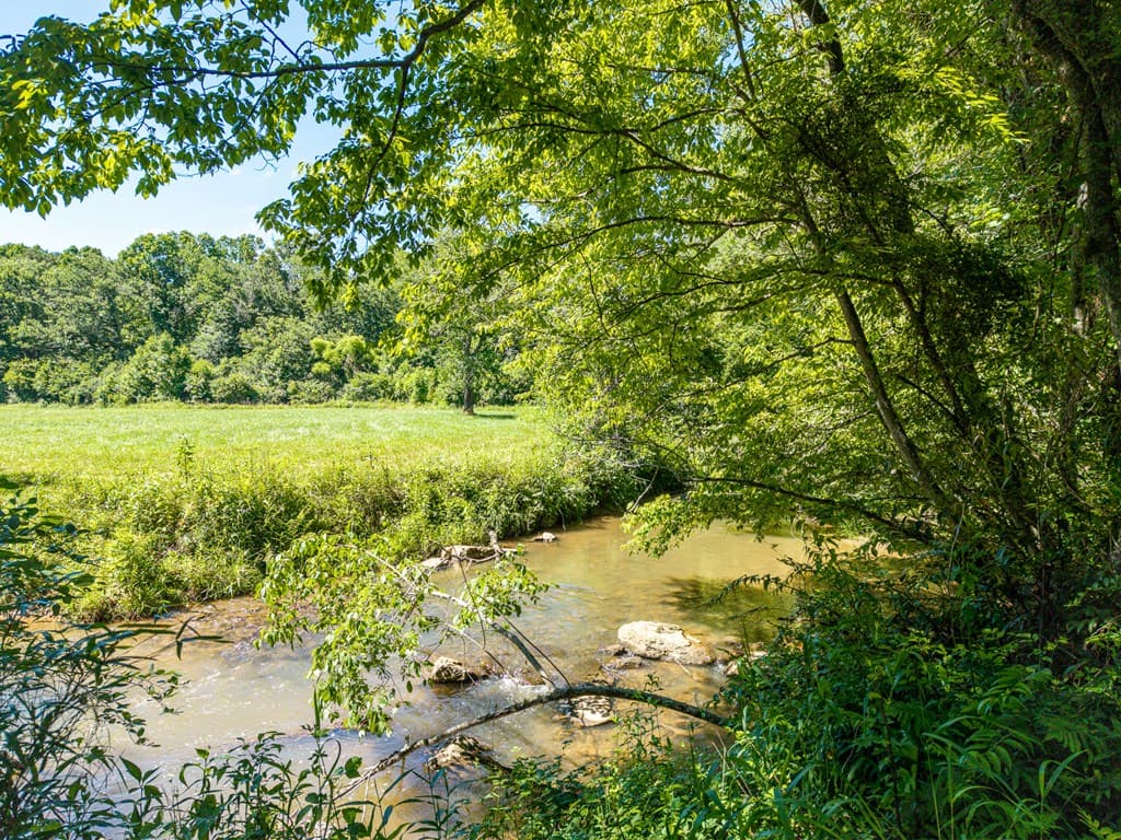 965 Bell Road, Mineral Bluff GA 30559 - Photo