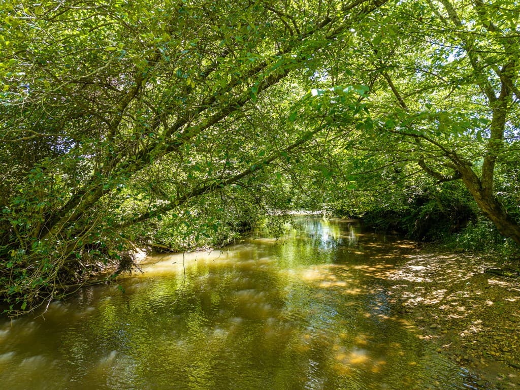 965 Bell Road, Mineral Bluff GA 30559 - Photo
