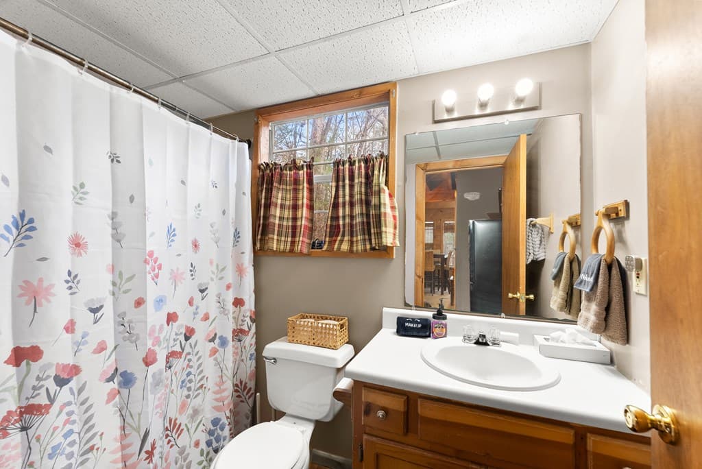 3 Ramblewood Drive, Sautee Nacoochee GA 30571 - Photo
