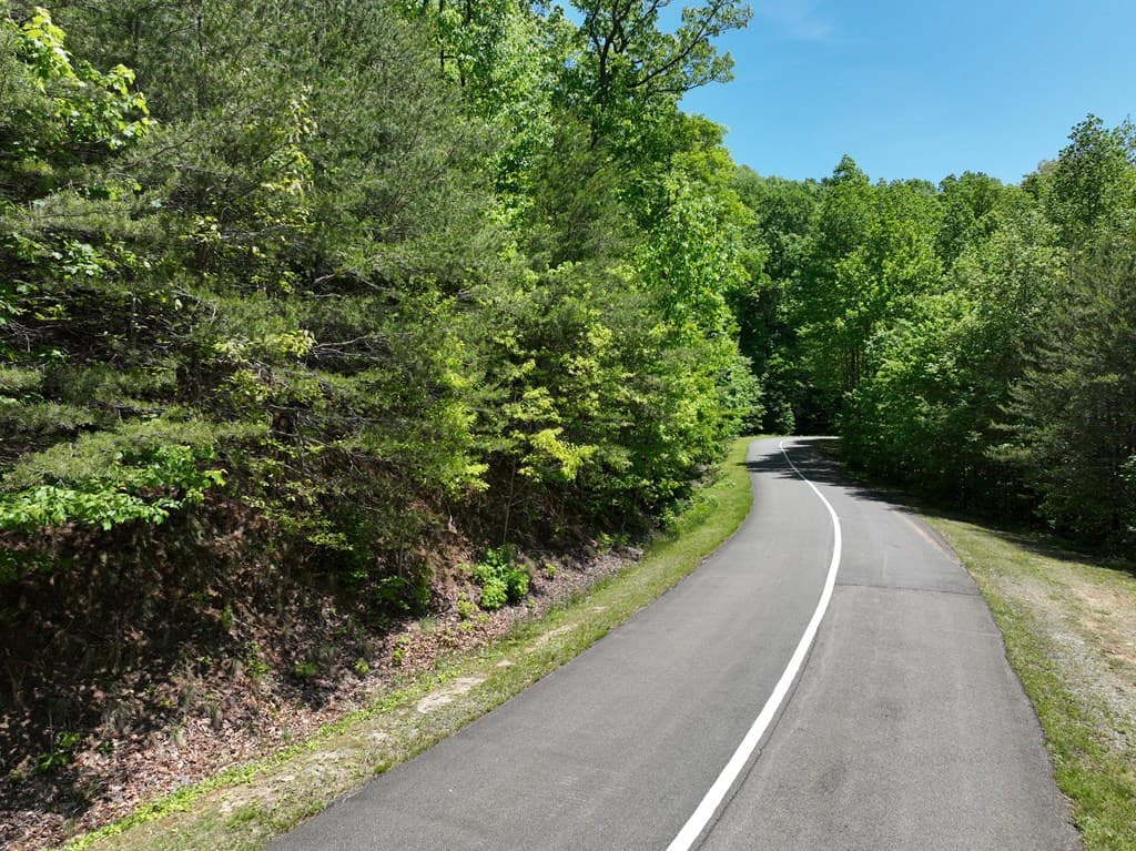 59 St Andrews Way, Ellijay GA 30536 - Photo