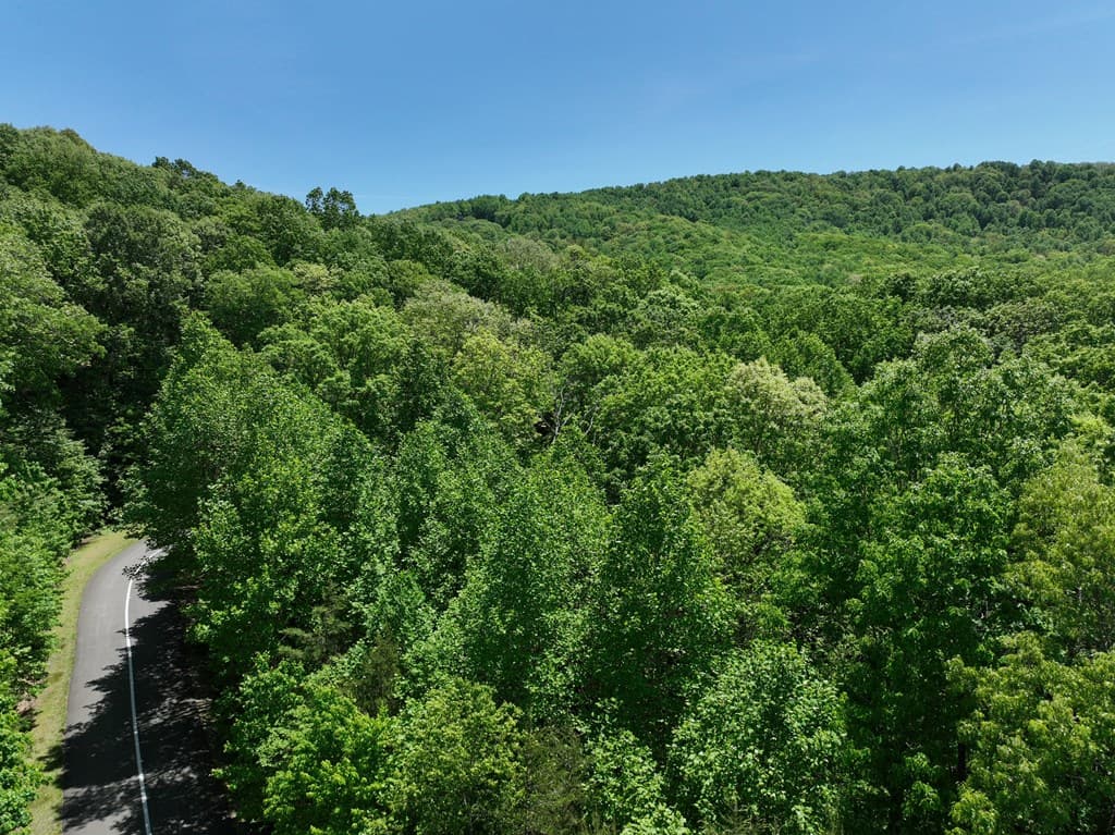 59 St Andrews Way, Ellijay GA 30536 - Photo