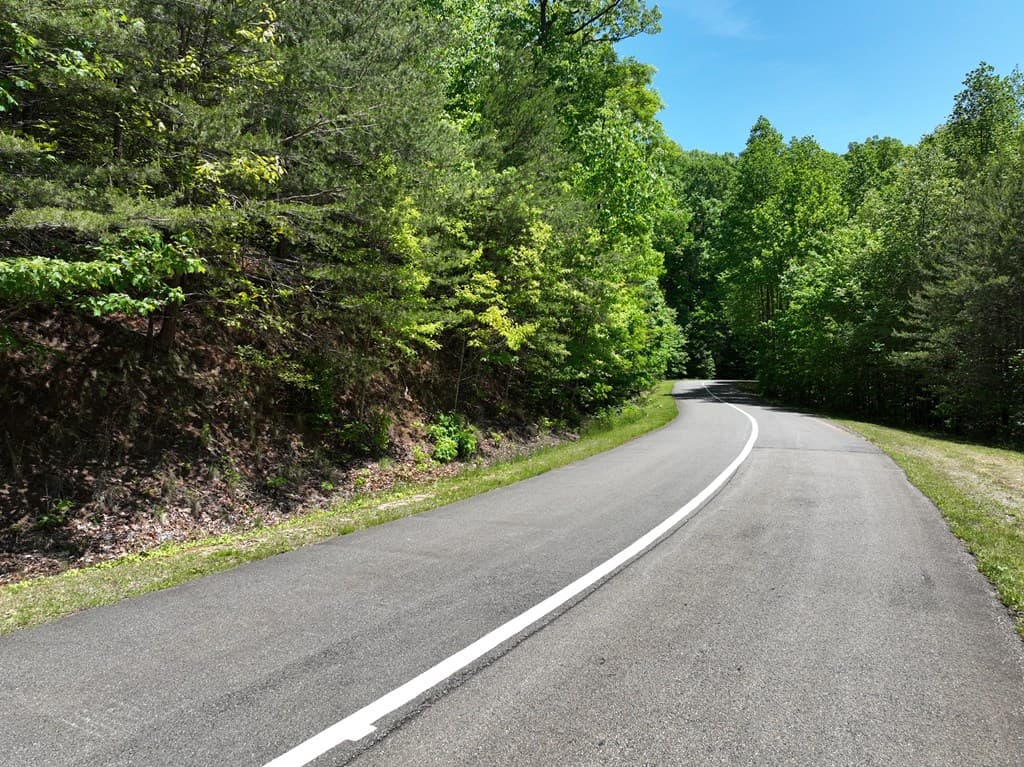 59 St Andrews Way, Ellijay GA 30536 - Photo