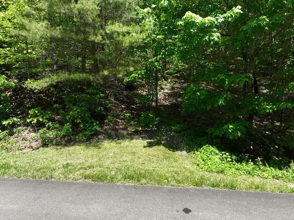 59 St Andrews Way, Ellijay GA 30536 - Photo