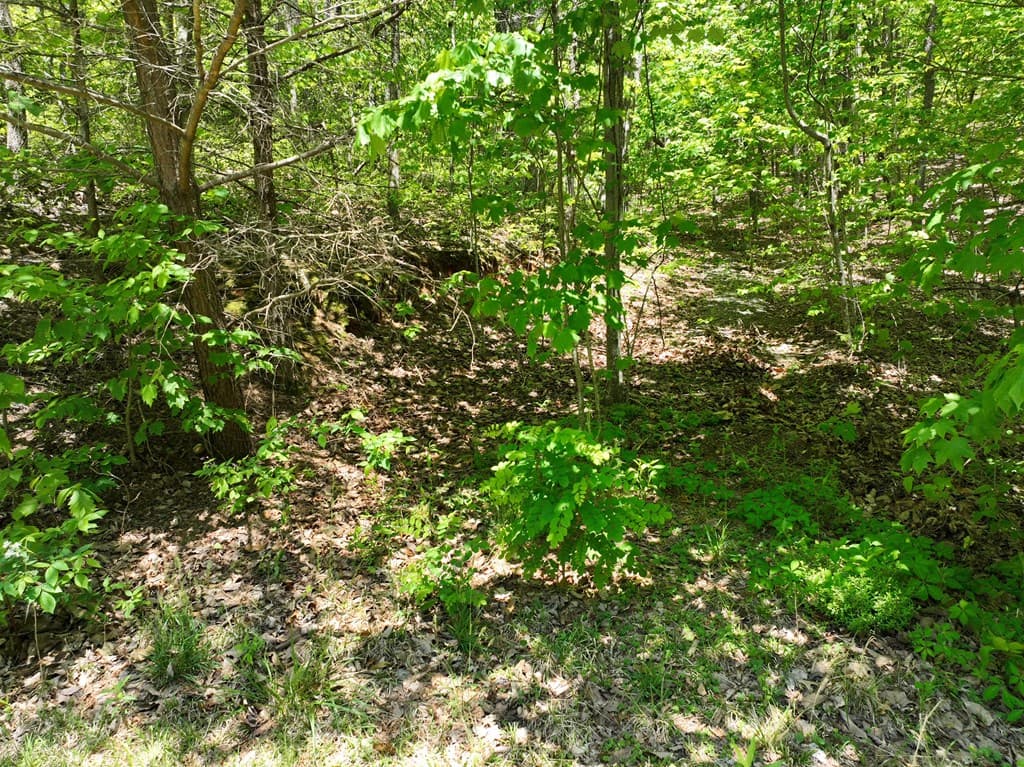59 St Andrews Way, Ellijay GA 30536 - Photo