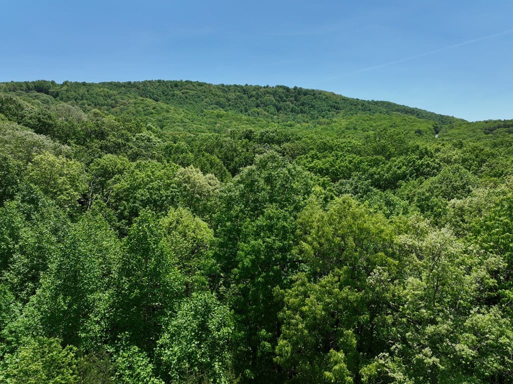 59 St Andrews Way, Ellijay GA 30536 - Photo