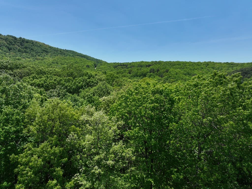 59 St Andrews Way, Ellijay GA 30536 - Photo