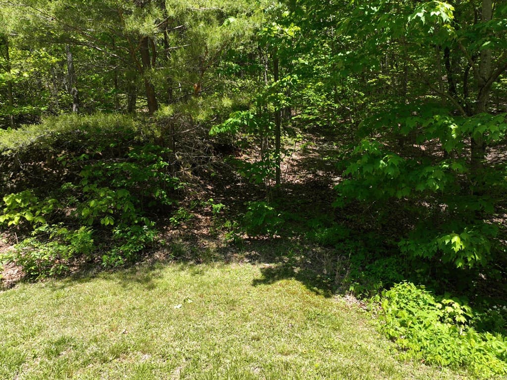 59 St Andrews Way, Ellijay GA 30536 - Photo