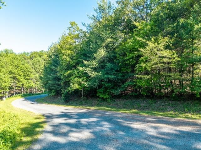 LOT 52 Creek Trail, Ellijay GA 30540 - Primary photo