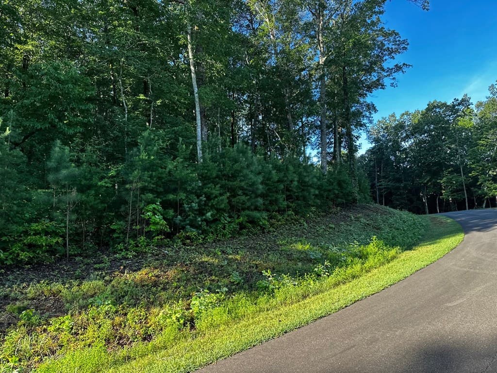 180 Trailwood Drive, Ellijay GA 30536 - Photo