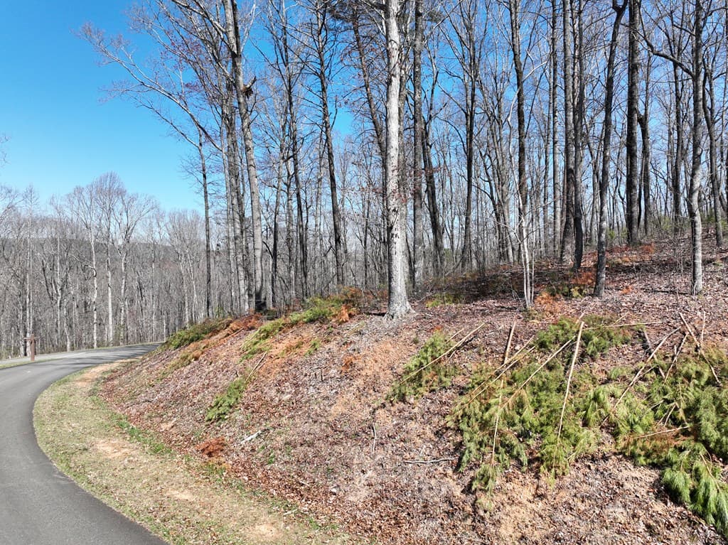 180 Trailwood Drive, Ellijay GA 30536 - Photo