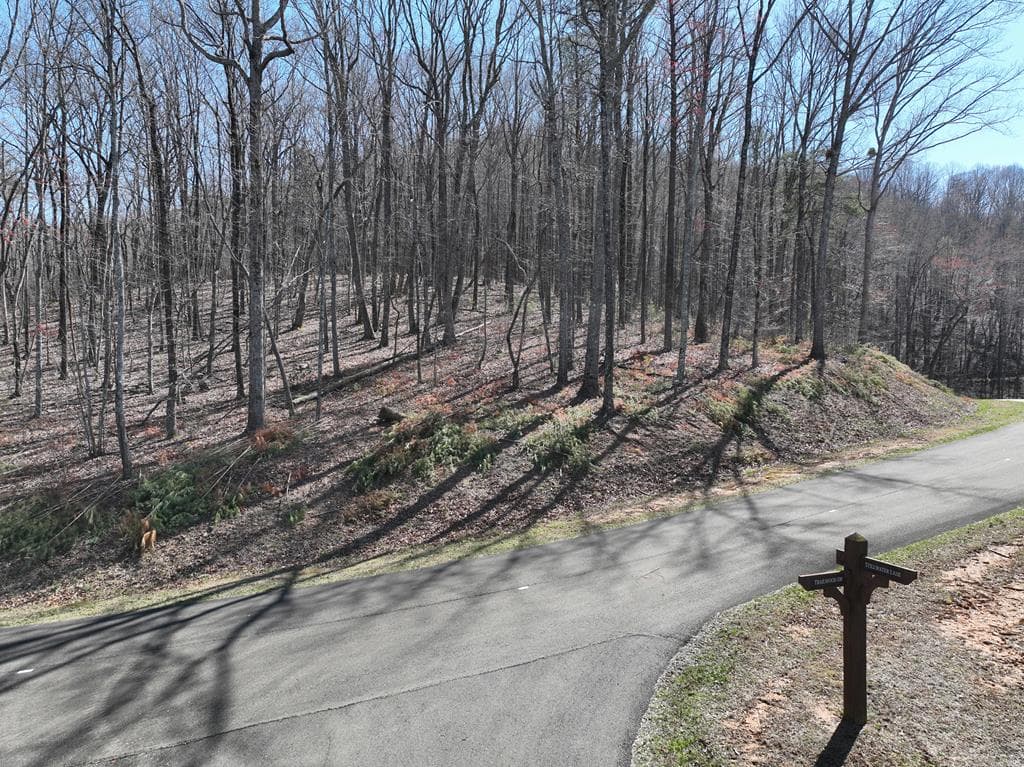 180 Trailwood Drive, Ellijay GA 30536 - Primary photo