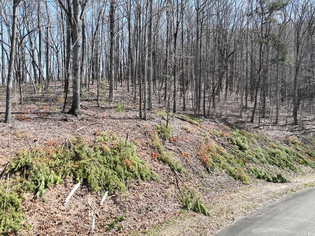 180 Trailwood Drive, Ellijay GA 30536 - Photo