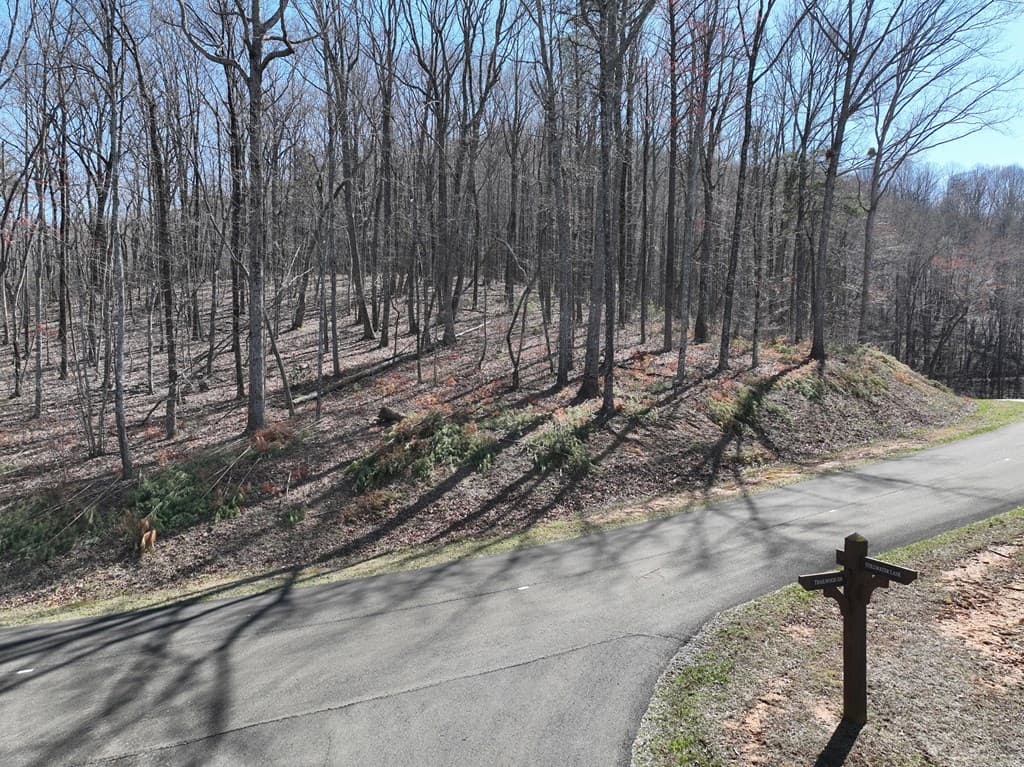 180 Trailwood Drive, Ellijay GA 30536 - Photo