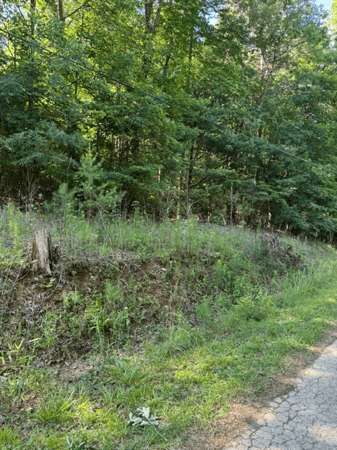 0 Southern Pines Drive, Ellijay GA 30540 - Photo