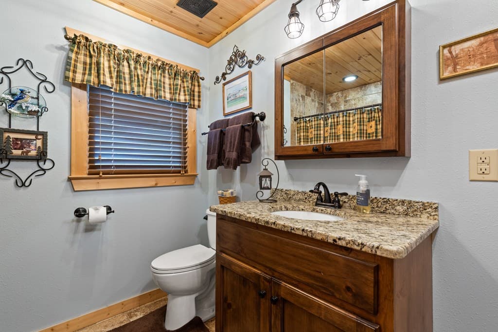 280 Palmetto Drive, Ellijay GA 30540 - Photo