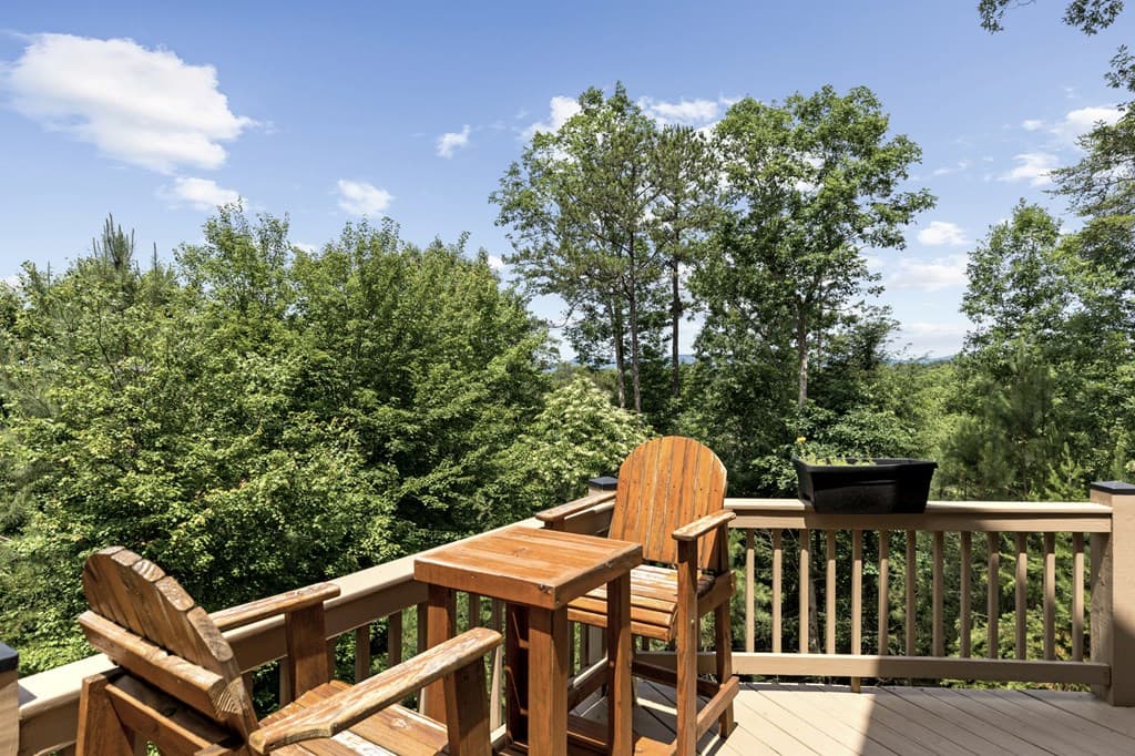 280 Palmetto Drive, Ellijay GA 30540 - Photo