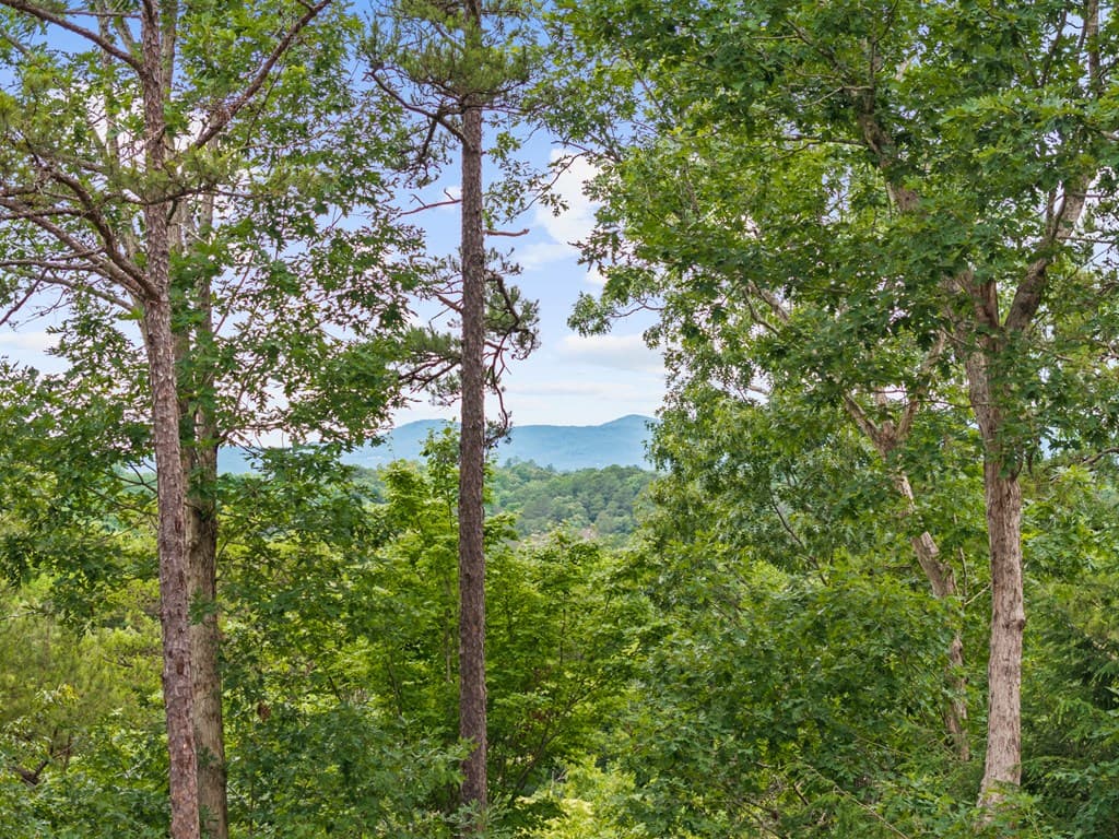 280 Palmetto Drive, Ellijay GA 30540 - Photo