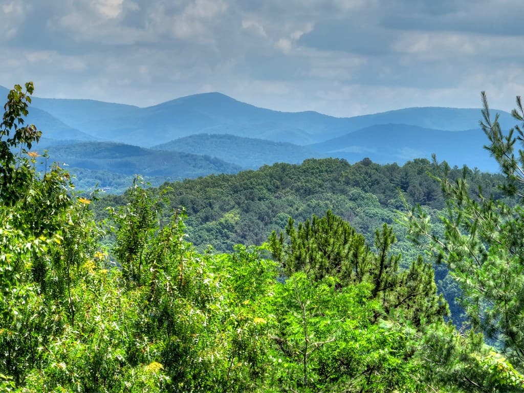 762 Pettit Ridge Road, Ellijay GA 30536 - Photo