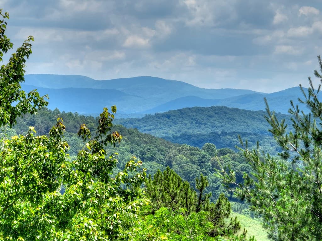 762 Pettit Ridge Road, Ellijay GA 30536 - Photo