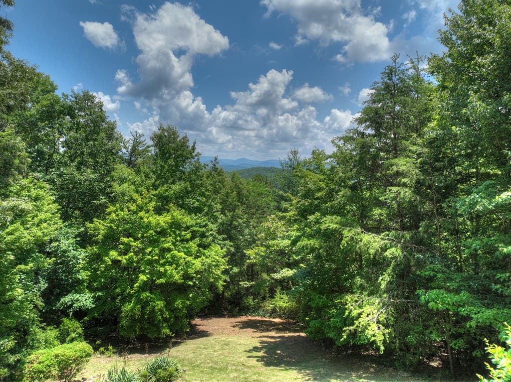 762 Pettit Ridge Road, Ellijay GA 30536 - Photo